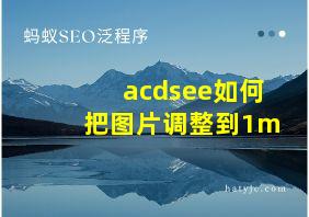 acdsee如何把图片调整到1m