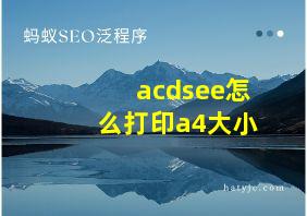 acdsee怎么打印a4大小