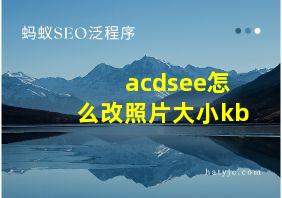 acdsee怎么改照片大小kb