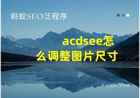 acdsee怎么调整图片尺寸