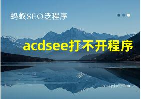 acdsee打不开程序