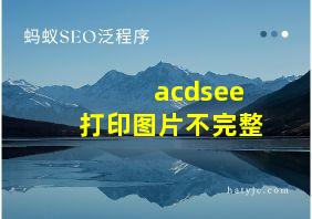 acdsee打印图片不完整