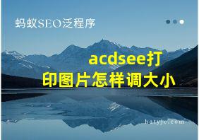 acdsee打印图片怎样调大小