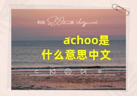 achoo是什么意思中文