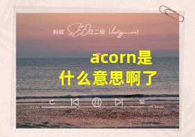 acorn是什么意思啊了