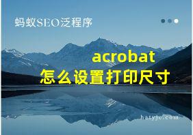 acrobat怎么设置打印尺寸