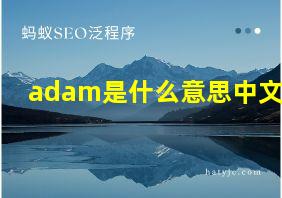 adam是什么意思中文