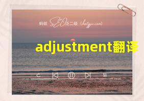 adjustment翻译