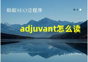 adjuvant怎么读