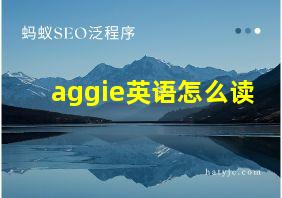 aggie英语怎么读