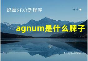 agnum是什么牌子