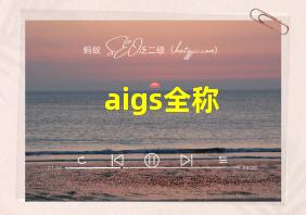 aigs全称