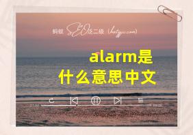 alarm是什么意思中文