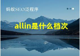 allin是什么档次