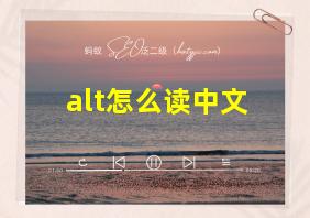 alt怎么读中文