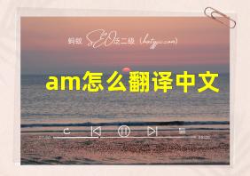 am怎么翻译中文