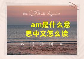 am是什么意思中文怎么读