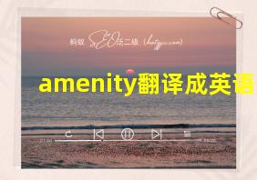 amenity翻译成英语