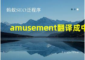 amusement翻译成中文