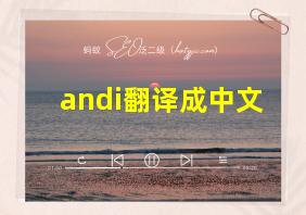 andi翻译成中文