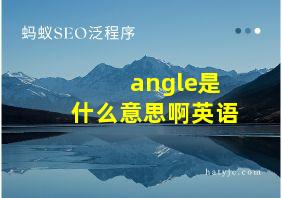 angle是什么意思啊英语