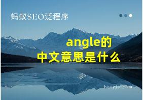 angle的中文意思是什么