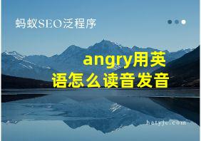 angry用英语怎么读音发音