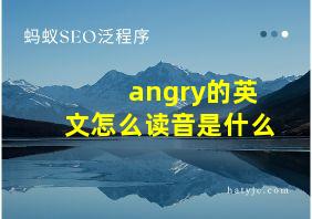 angry的英文怎么读音是什么