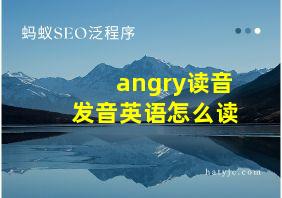 angry读音发音英语怎么读