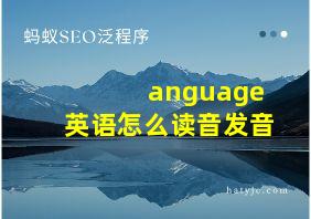 anguage英语怎么读音发音