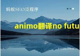 animo翻译no future