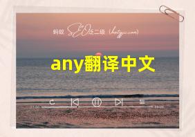 any翻译中文