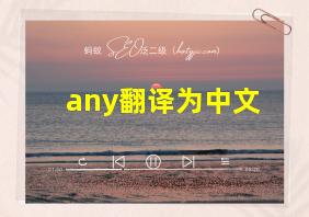 any翻译为中文