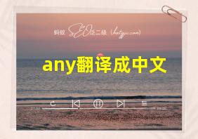 any翻译成中文