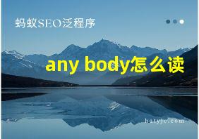 any body怎么读