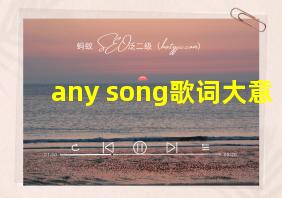 any song歌词大意