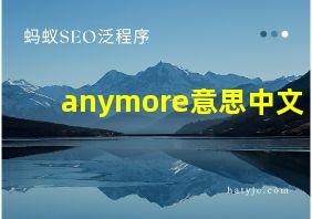 anymore意思中文