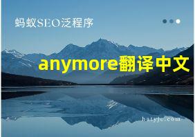 anymore翻译中文