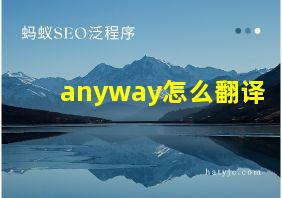 anyway怎么翻译