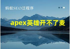 apex英雄开不了麦