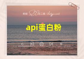 api蛋白粉