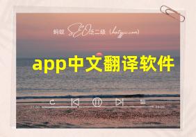 app中文翻译软件