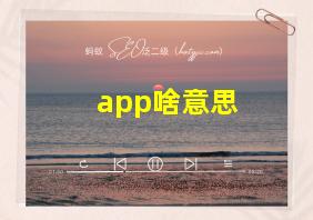 app啥意思