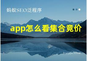 app怎么看集合竞价