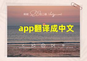 app翻译成中文