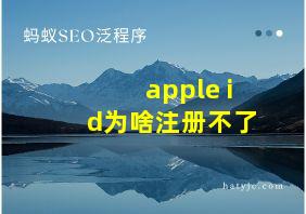 apple id为啥注册不了