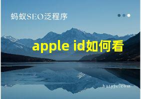 apple id如何看