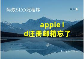 apple id注册邮箱忘了