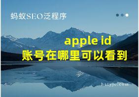 apple id账号在哪里可以看到