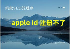 apple id 注册不了